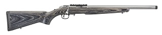Ruger American Rimfire Taget 22lr
