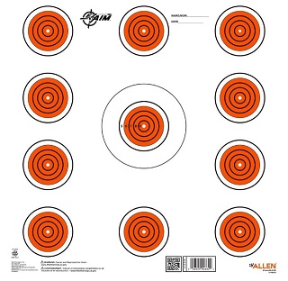 Allen Cibles de tir en papier EZ Aim, 12 pouces carrés, 11 points, pour l'intérieur, paquet de 13