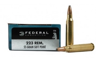 Federal 223rem 55gr SP