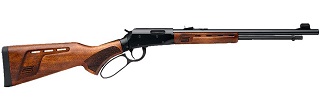 Savage Revel DLX 17hmr