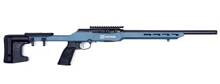 Savage A22 Precision AVNS SR 22lr Cerakote