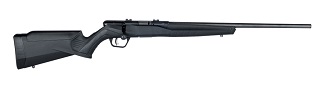 Savage B17 F 17hmr