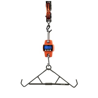 Allen Balance Numérique