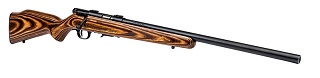 Savage 93R17 BV 17 hmr 
