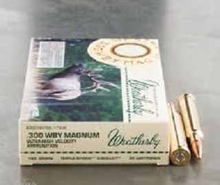 300 Weatherby  Magnum 165 Gr 