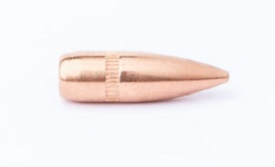 CamPro 223 55gr FMJ BT