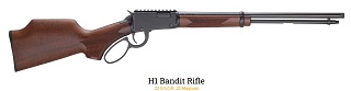 Henry H1 Bandit Rifle 22mag