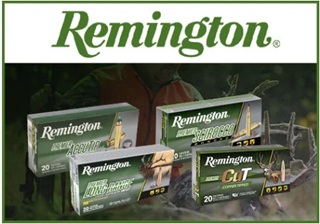 Rabais Remington Scirocco #R13960 (20%)