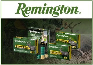Rabais Remington Slugs #R13962 (20%)