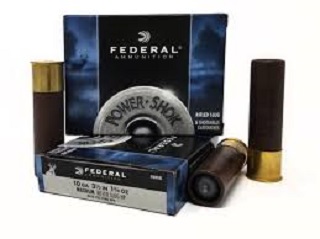 Federal Slug 10ga - 3,5