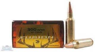 Federal Fusion 300WSM 165GR